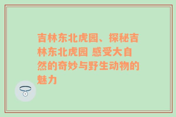 吉林东北虎园、探秘吉林东北虎园 感受大自然的奇妙与野生动物的魅力