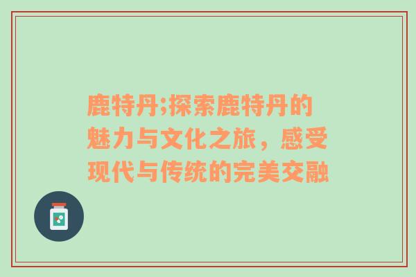 鹿特丹;探索鹿特丹的魅力与文化之旅，感受现代与传统的完美交融