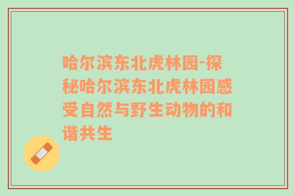 哈尔滨东北虎林园-探秘哈尔滨东北虎林园感受自然与野生动物的和谐共生